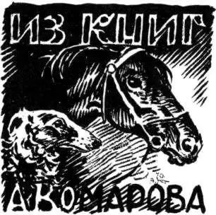 НАУЧНЫЕ КНИГИ Бобринский Животный мир и природа СССР 1960 Атлас охотничьих - фото 281