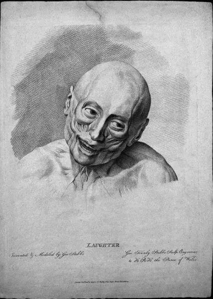 Илл 5 Мышцы при смехе 1800 Выразительные движения Тесная связь телесного - фото 5