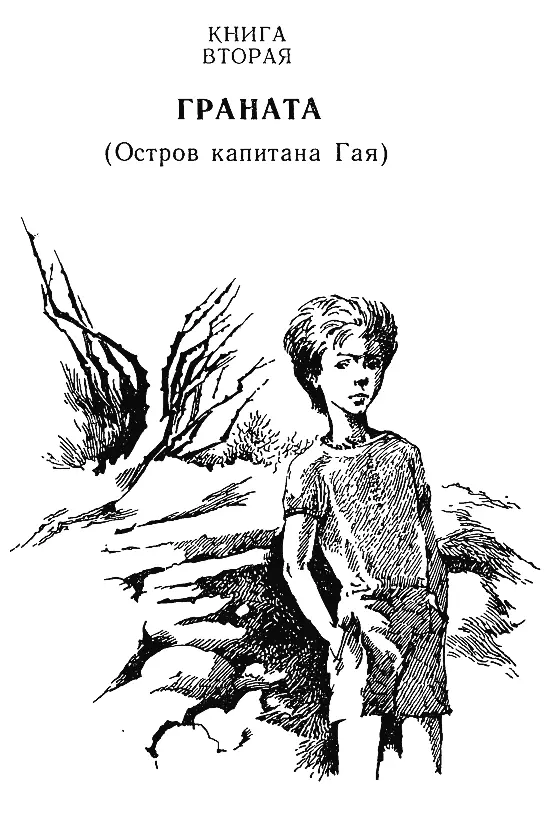 Книга вторая ГРАНАТА Остров капитана Гая Первая часть ДЛИННЫЙ ДЕНЬ У МОРЯ - фото 21