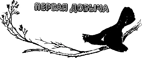 На десятом году моей жизни я получил от деда подарок вогульский лук и две - фото 2