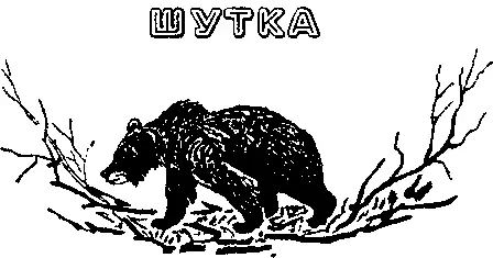 Я вырос в глухом уголке Урала где много всякого зверья Медведи часто задирали - фото 5