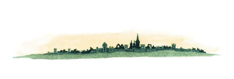 На следующий день дикие гуси собрались лететь к острову Готланд причём - фото 43