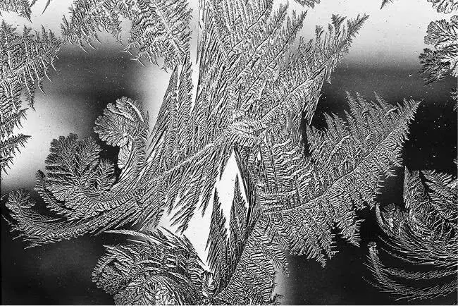 Ледяные узоры на стекле Немало ледяных цветов Eisblumen появляется в книгах - фото 38