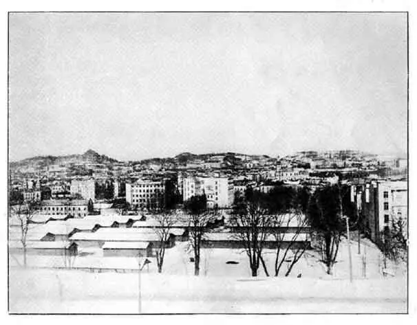 Панорама г Львова Зима 1914 1915 гг Елизавета Федоровна посетила - фото 124