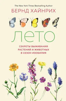 Берндт Хайнрих - Лето: Секреты выживания растений и животных в сезон изобилия