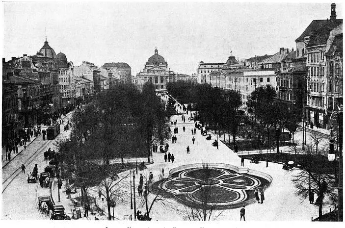 Общий вид г Львова К пребыванию Государя Императора 9 апреля 1915 г - фото 166