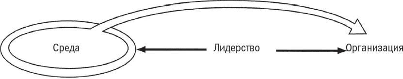 Рис 113Главенствующая роль среды в адхократии Она управляет организацией - фото 31