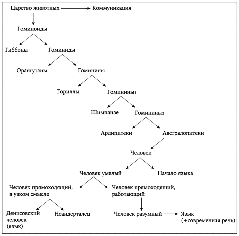 Рис 2 Человеческая клада Не у всех животных есть язык который видимо - фото 2