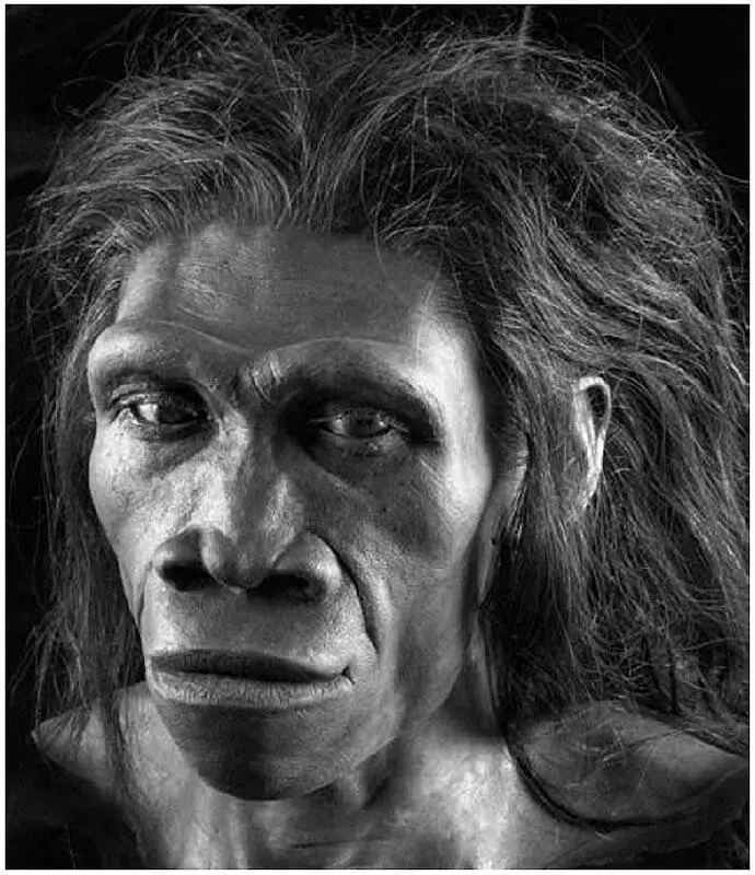 Рис 5 Homo erectus художественная реконструкция С другой стороны во - фото 5