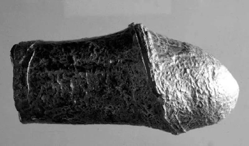 Рис 10 Эрфудский манупорт Опять же иконический знак намеренно выделенный - фото 11