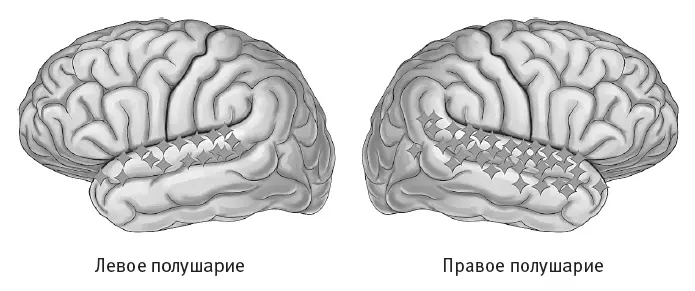Рис 51Пробуждающие слуховую память точки стимуляции обозначены ромбиками - фото 25