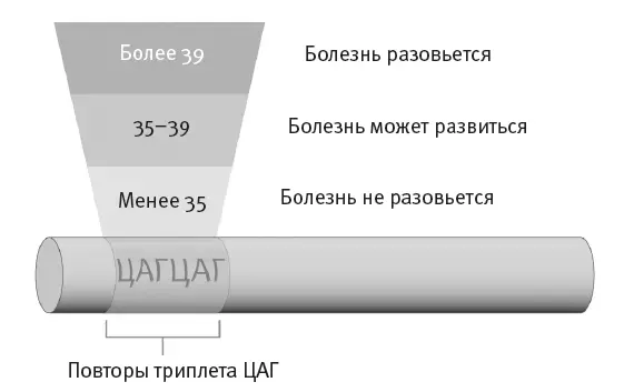 Рис 75Изза длинной вереницы ЦАГтриплетов в гене хантингтина этот белок - фото 40