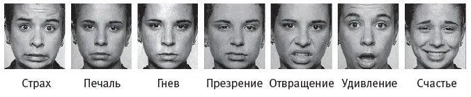 Рис 82Валентность эмоций от избегания до приближения Рис 83Диапазон - фото 47