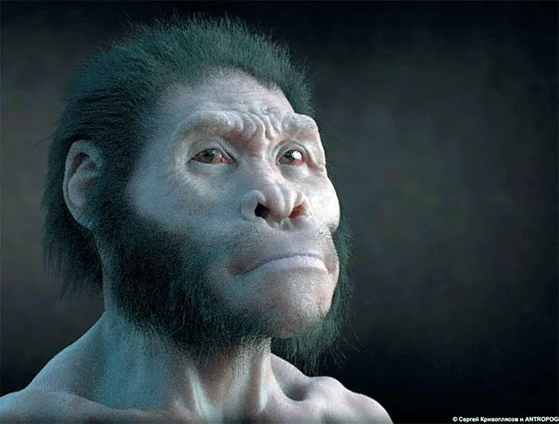 Илл VIРеконструкция облика Homo naledi 3Dпроект Сергея Кривоплясова для - фото 96