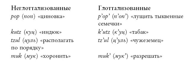 Еще одна вещь которая нам незнакома гортанная смычка или гортанный взрыв - фото 18