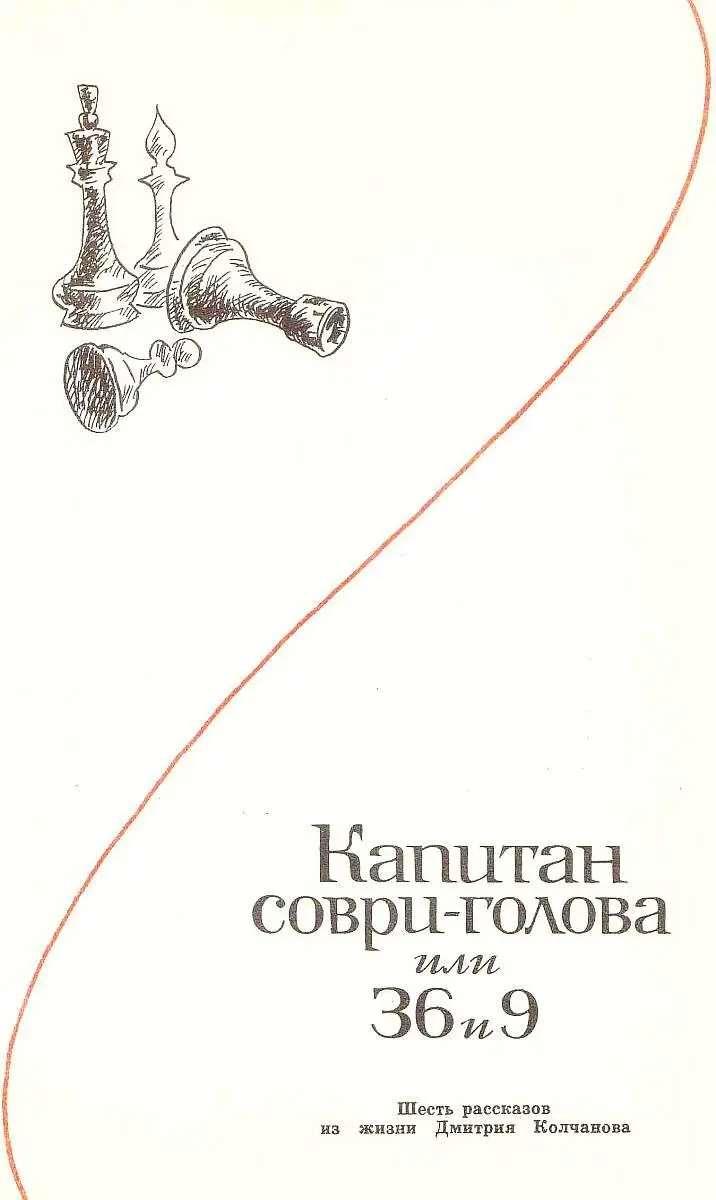 Капитан Совриголова или 36 и 9 Шесть рассказов из жизни Дмитрия Колчанова - фото 31