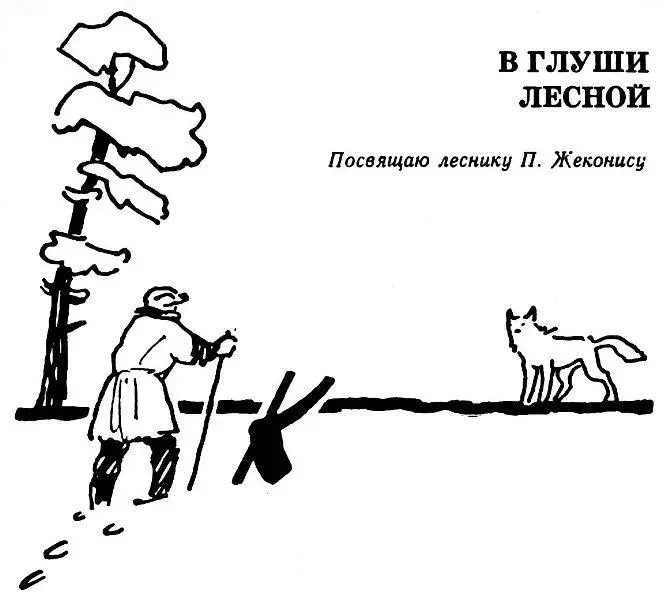 К аждое утро он идет здороваться с зеленой чащей Что и говорить для - фото 21