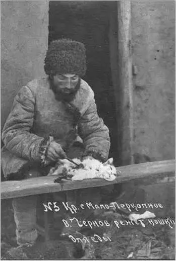 Кошка на обед Голод и его последствия были причиной смерти многих во всех - фото 50
