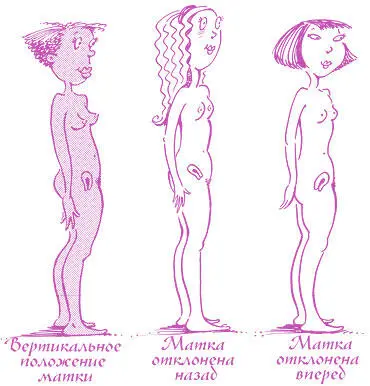 Разумеется у нас нет рентгеновского зрения поэтому мы не можем видеть все эти - фото 33