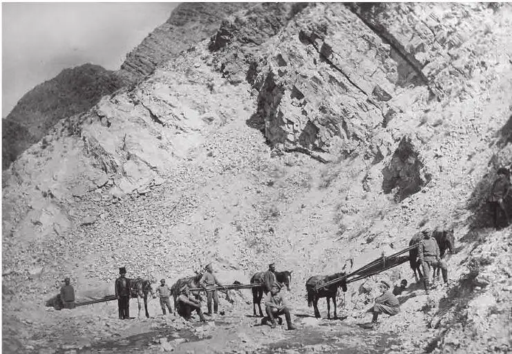 Кавказский фронт Перевозка раненых 1916 31 мая 1917 года Александра писала - фото 99
