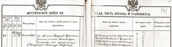 Выписка из метрической книги храма Михаила Архангела села Медвежье за 1902 год - фото 144