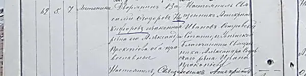 3311 Май 5 Антонина родители дворянин Василий Феодоров Никифоров и - фото 281