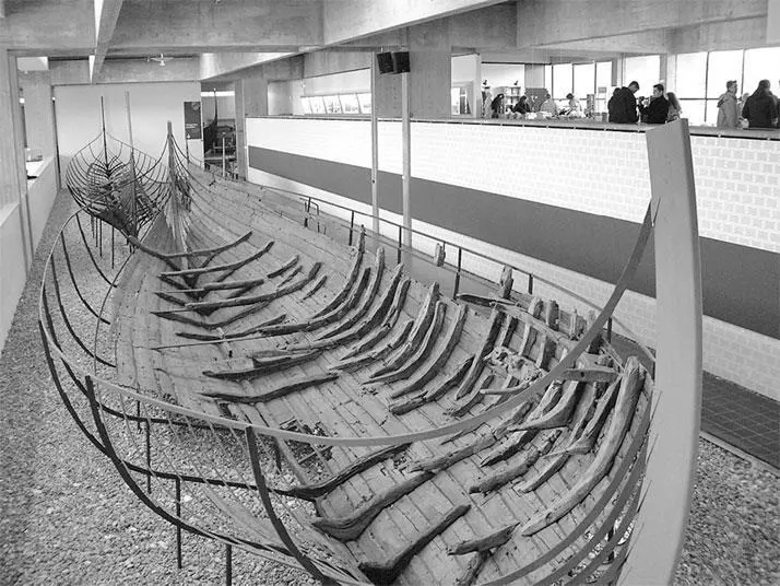 Рис 13 Рабочая лошадка викингов Остатки корабля Skuldelev I раскопанного во - фото 23