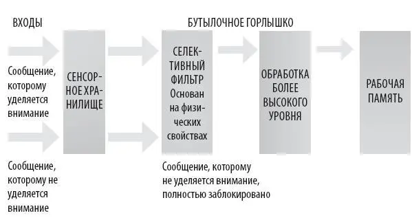 Модель внимания Бродбента дает схематическое представление о том как разум - фото 149