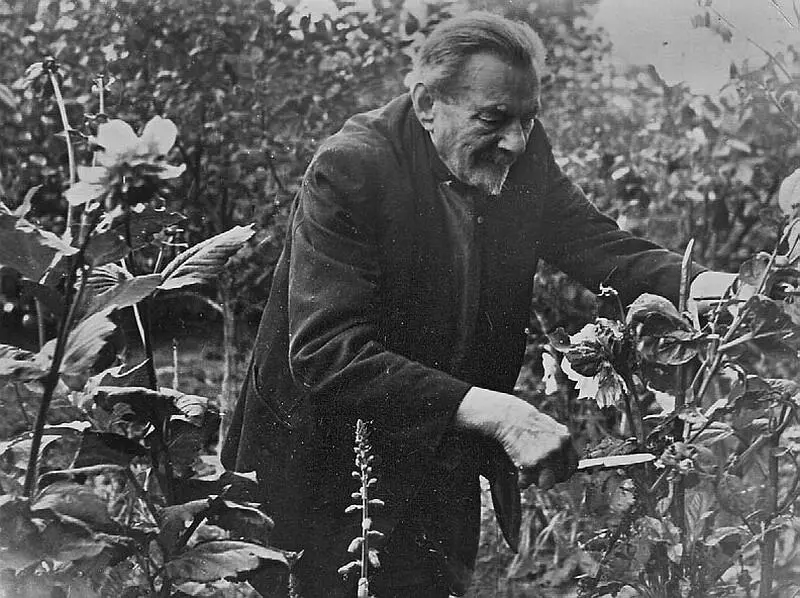 Захарий Григорьевич в саду в Пушкине 1961 г Захарий Григорьевич во время - фото 47