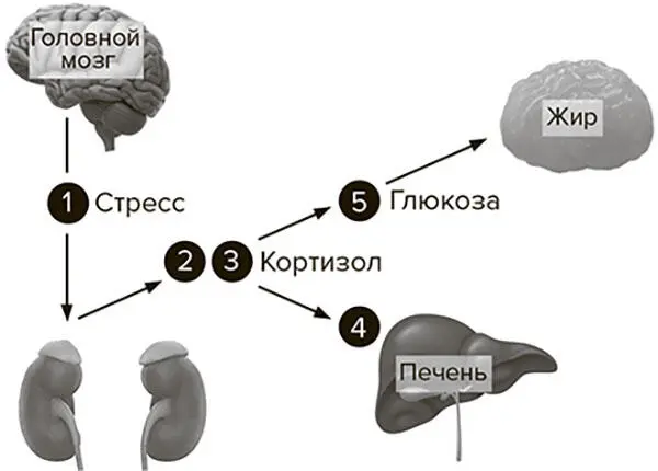 Рис 75 Пять уровней на которые можно воздействовать чтобы предотвратить - фото 17