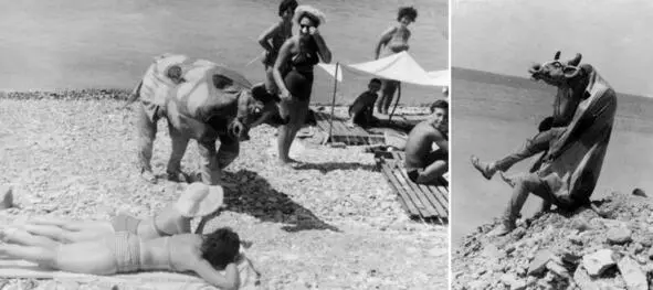 196307 Бурное знакомство с обитателями международного лагеря Спутник Выход - фото 110