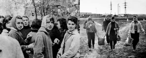 1962 г На картошку и с картошки Радость волнение предвкушение от - фото 279