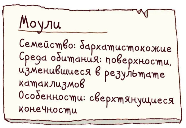 Ложная тревога разочарованно пробормотала я Моули живут в зоопарке Мы - фото 25