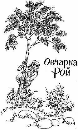 Глава первая ТОМИ ОТПРАВЛЯЕТСЯ НА РЫБАЛКУ Работа начинала раздражать Сухие - фото 2