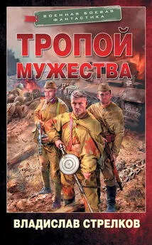 Владислав Стрелков - Тропой мужества [litres]