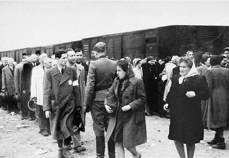 Ход селекции Ход селекции Опустевшая рампа Рампа Иму - фото 45