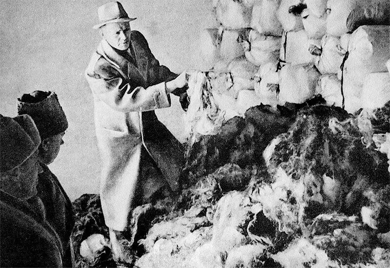 То что осталось от женщин волосы То что осталось от мужчин талесы - фото 62