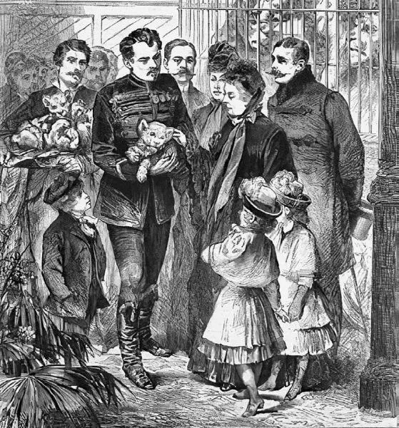 Рис 59 Здоровые львята в Лондонском зоопарке 1887 г Illustrated London - фото 58
