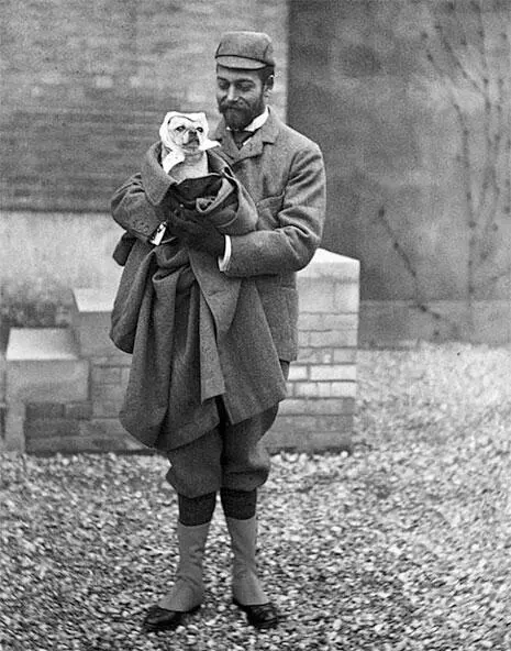 Герцог Йоркский в твидовом костюме 1895 г Даже после того как Картофельный - фото 22