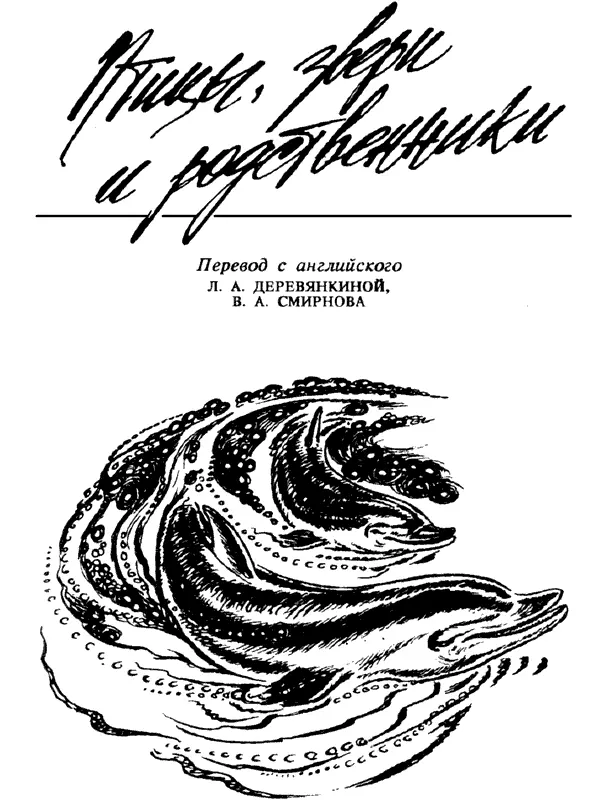 Перевод с английского Л А ДЕРЕВЯНКИНОЙ В А СМИРНОВА Gerald Durrell BIRDS - фото 81