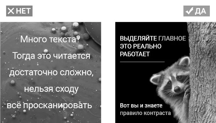 6 Слишком много фото Коллажи из нескольких фото плохо воспринимаются - фото 9