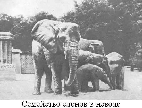 Примечания - фото 16