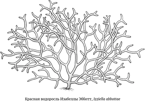 Итак налицо двойная несправедливость научное сообщество допускает в свои ряды - фото 20