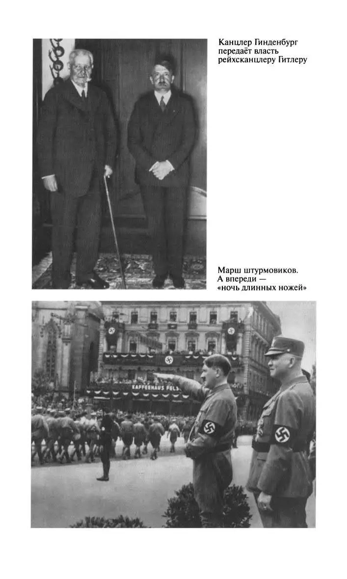 Фитин - фото 13