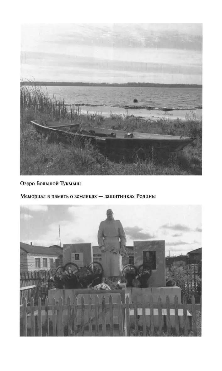 Фитин - фото 6