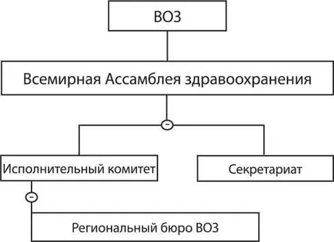 Рис 2 Структура ВОЗ Всемирная ассамблея здравоохранения собирается на - фото 2