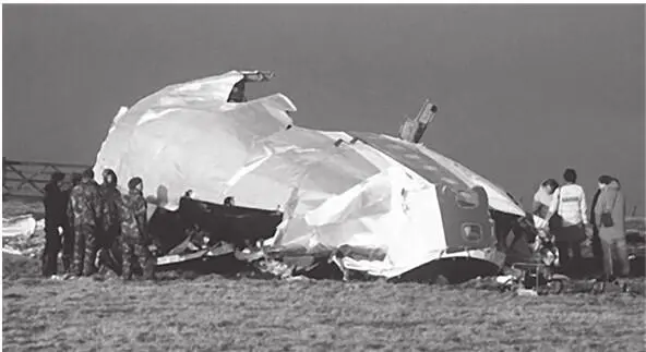 Рис 24 Еще часть фюзеляжа Боинга 747 взорванного над Локерби Вообще при - фото 25