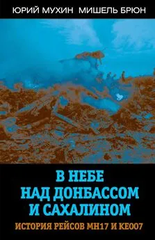 Мишель Брюн - В небе над Донбассом и Сахалином. История рейсов МН17 и КЕ007