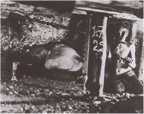 В поездке по Северной Англии в 1936 году Блэр Оруэлл узнал об ужасающих - фото 27