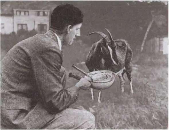 В Воллинггоне Эрик сам ухаживал за домашними животными Лето 1939 г Во - фото 44